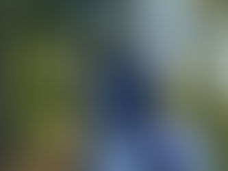 Mathilde Juglaret & Caporal de Massa 3 èmes de la reprise libre des Championnats d'Europe