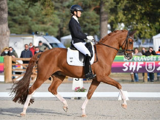 Grande Semaine : Jessica Michel Botton & Djembe de Hus Old s'adjugent la Préliminaire 6 ans
