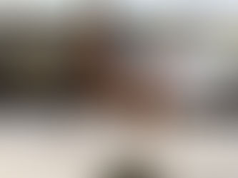 La Finale du Grand National reportée aux 18 et 19 décembre