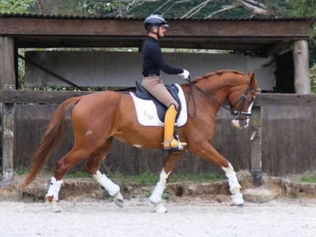 Caroline Brun parie sur Lelie