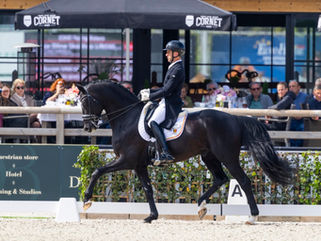 Justin Verboomen "je ne referai pas concourir Zonik avant les Championnats du Monde d'Aix-la-Chapelle"