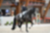 Isabell Werth & Wendy de Fontaine : la vidéo de leur Grand Prix Spécial du CDI 3* du Mans