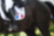 Du mouvement dans les listes “À cheval pour Paris”