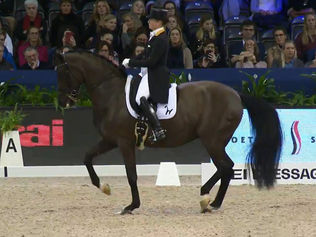 Grand Prix Coupe du Monde d'Amsterdam : énième victoire pour Isabell Werth