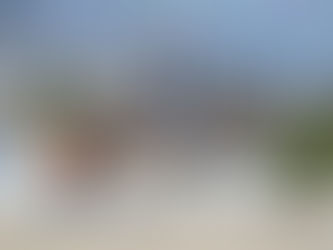 Classements des studbooks : le KWPN en tête, le lusitanien s'affirme sur le Grand Prix