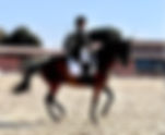 Ultrablue de Massa retrouve le Grand Prix avec une nouvelle cavalière