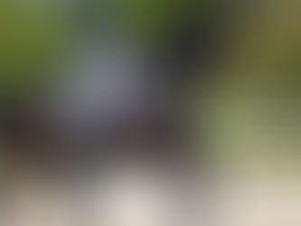 Les Championnats d'Europe Children, Juniors, Jeunes Cavaliers 2021 finalement bien déplacés