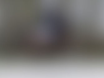 Vente Dutch Dressage Traders : le Top Price vendu en France