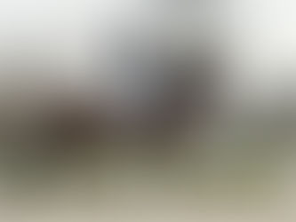 Deparon US pour Danielle Heijkoop