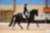 Le Championnat de France des 7 ans pour Apachi vd Biebosschen & Claudia Chauchard