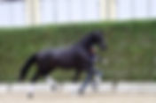 Ventes PS Online : 190.000€ pour le Top Price