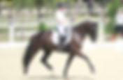 L'Allemagne dévoile ses sélections pour les Championnats du Monde Jeunes Chevaux