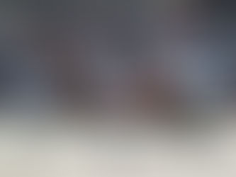 Des jumeaux pour Fiontini