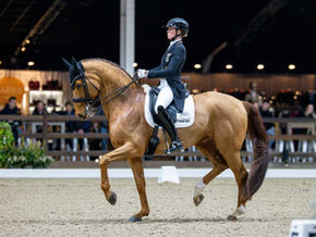 Lier's CDI 4*: Germany in control, Belgium lying in wait