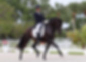 Vincent Serrano : le dressage sous le soleil de Miami