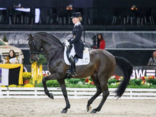 Damsey FRH admis au studbook KWPN