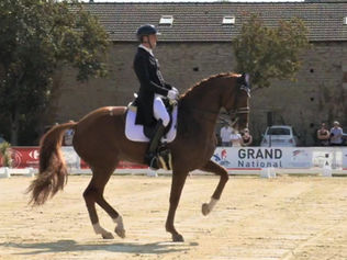 Jean Philippe Siat et Lovesong 7 èmes du Grand Prix du CDI 3* de Geesteren