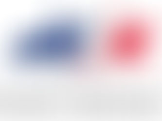 France Dressage : les règlements "général" et "labellisations" disponibles