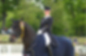 Dressprod, partenaire des Internationaux de Dressage de Compiègne