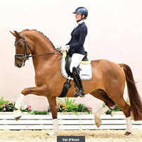 Vente du Oldenbourg : 110.000€ pour le Top Price