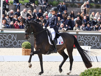Sélection tricolore pour le CDIO 5* de Fontainebleau