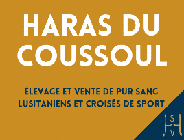haras du coussoul janvier 2025.gif