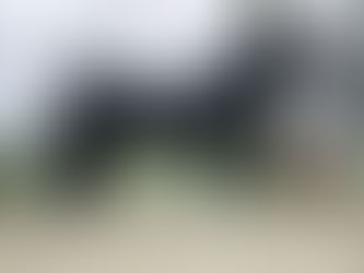 Sir Oldenburg est mort