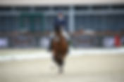 GP Coupe du Monde d'Equita'Lyon : Marie Émilie Bretenoux et Quartz of Jazz à + de 68 %