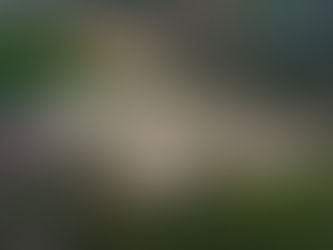 Pas de CDI 3* à Mâcon en 2023