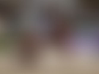 Le Danemark aux commandes du Grand Prix du CDI 4* d'Aix la Chapelle