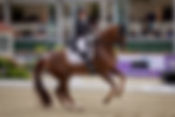 Cathrine Dufour & Bohemian c'est fini !