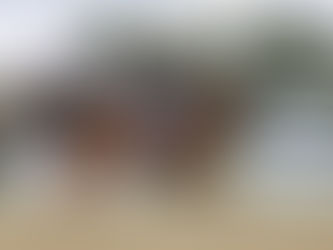 Grand Prix Spécial du CDI 3* de Geesteren : Jean Philippe Siat et Lovesong 6 èmes