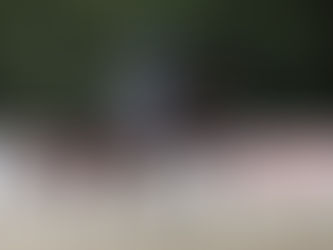 Morgan Barbançon & Sir Donnerhall II remportent la reprise libre de la Coupe du Monde de Biały Las