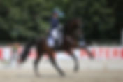 Morgan Barbançon & Sir Donnerhall II remportent la reprise libre de la Coupe du Monde de Biały Las