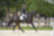 Claudia Chauchard & Apachi vd Biebosschen 15 èmes du Championnat du Monde des 7 ans