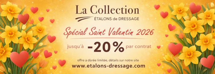 Offre spéciale Saint Valentin 2026.png