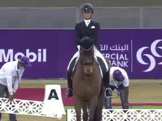 Les chevaux de dressage présents à Doha bloqués dans la base de données FEI