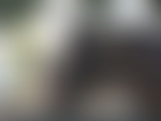 Nouvelle entrée dans le Groupe 1