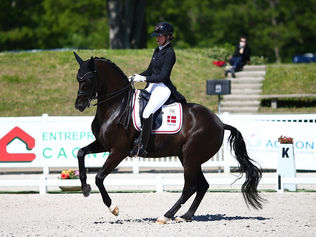 Carina Cassøe Krüth prend les commandes du CDIO 5* de Compiègne - 3 français à + de 70%