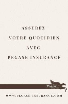 pegase insurance juin 2025.gif