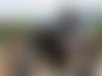 Disparition de Noble Dream