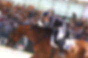 Reprise libre des Championnats d'Europe : Morgan Barbançon & Habana Libre A à 79.521%