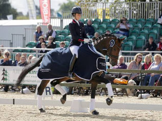 Mount St John : le petit élevage britannique familial devenu international