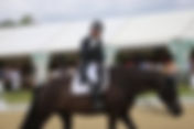 Corentin Pottier & Gotilas du Feuillard 5 èmes du Spécial du CDI 3* d'Aix la Chapelle