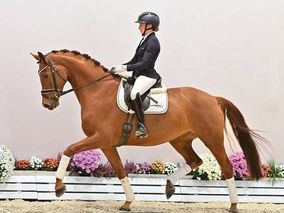 Charlotte Chalvignac Vesin parie sur une autre fille de Fürst Toto