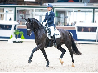 48 jeunes chevaux néerlandais toujours en lice pour les Championnats du Monde