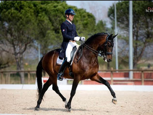 Grand Prix des Championnats d'Europe de Riesenbeck : Arnaud Serre & James Bond de Massa à 71.444%