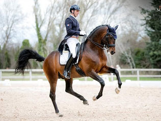 Arnaud Serre & James Bond de Massa marquent les esprits à Wiesbaden !