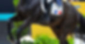 L'équipe de France des Championnats d'Europe annoncée ... avec de grands absents !