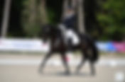 GS : Victor Brua et Jin Xin du Montroyer remportent le Championnat des 6 ans